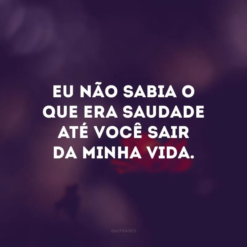 Eu não sabia o que era saudade até você sair da minha vida.