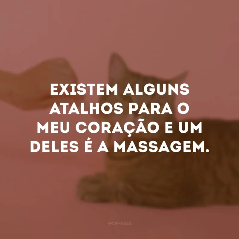Existem alguns atalhos para o meu coração e um deles é a massagem. 