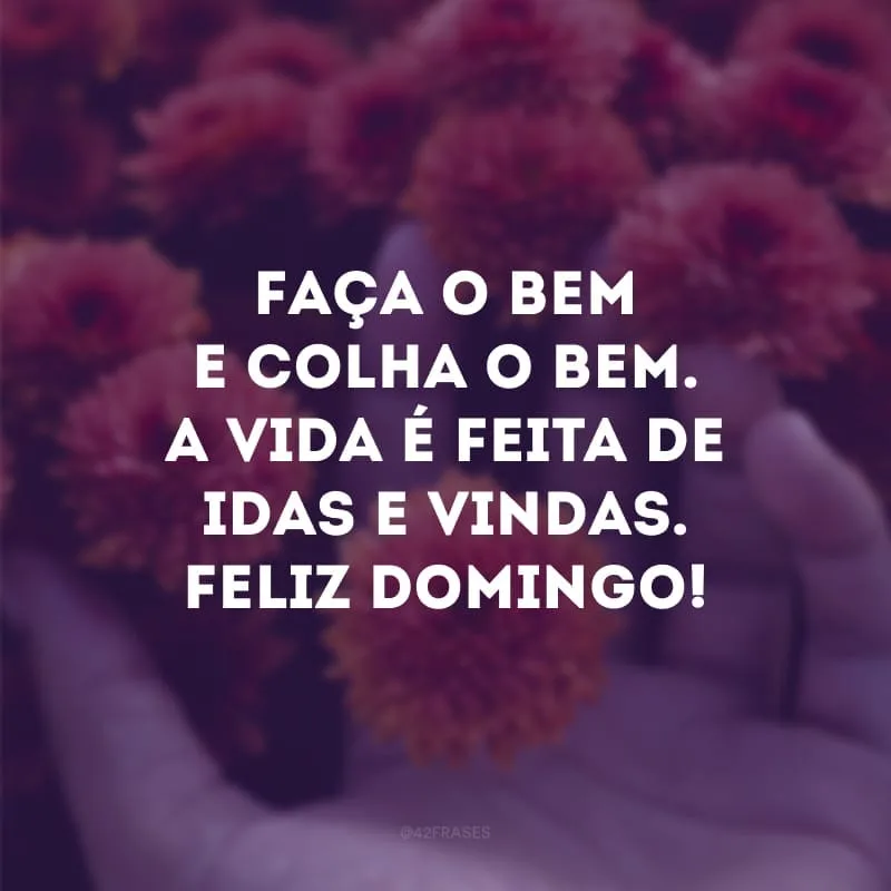 Faça o bem e colha o bem. A vida é feita de idas e vindas. Feliz domingo!
