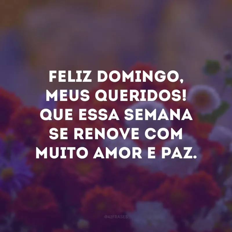 Feliz domingo, meus queridos! Que essa semana se renove com muito amor e paz.
