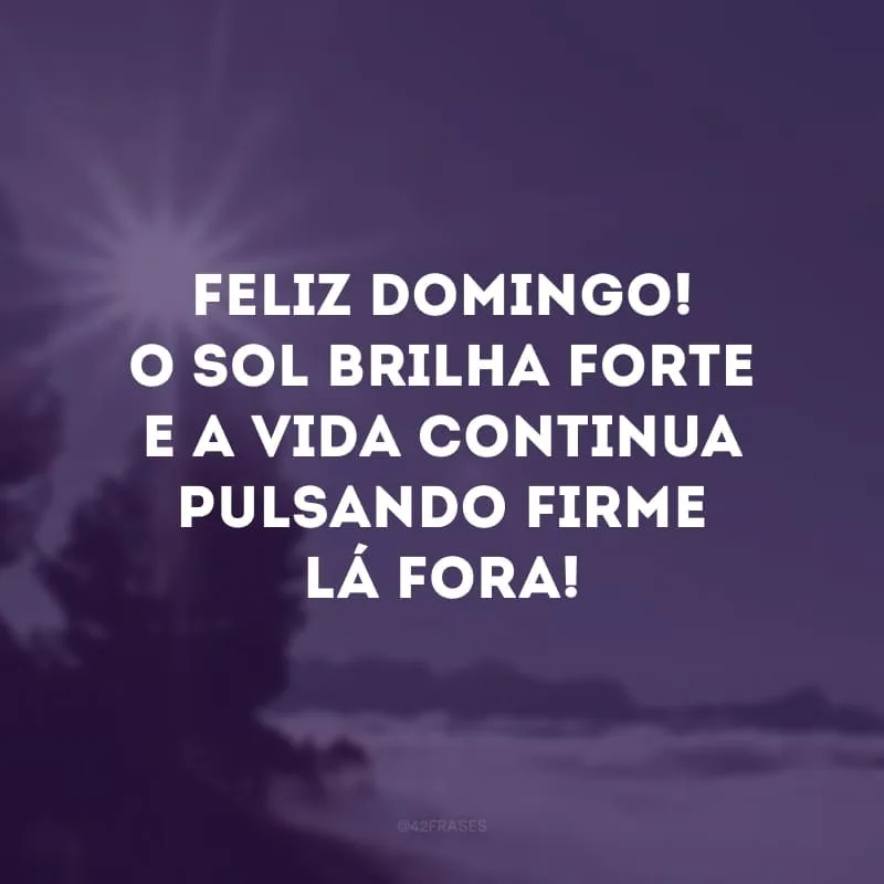 Feliz domingo! O sol brilha forte e a vida continua pulsando firme lá fora!
