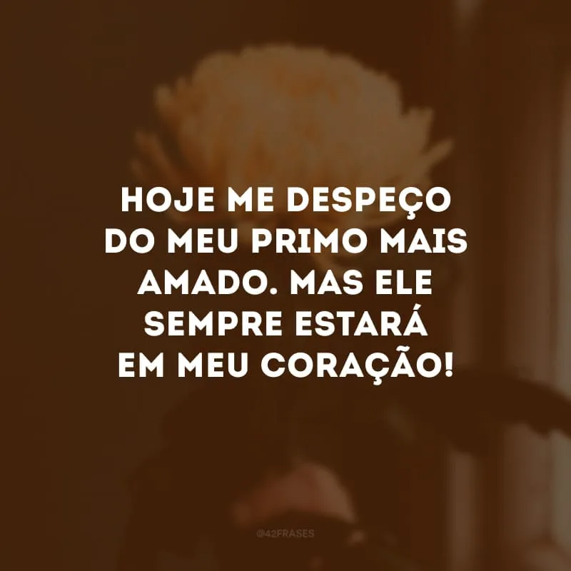 Hoje me despeço do meu primo mais amado. Mas ele sempre estará em meu coração! 