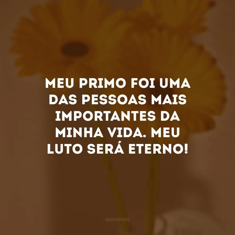 Meu primo foi uma das pessoas mais importantes da minha vida. Meu luto será eterno!