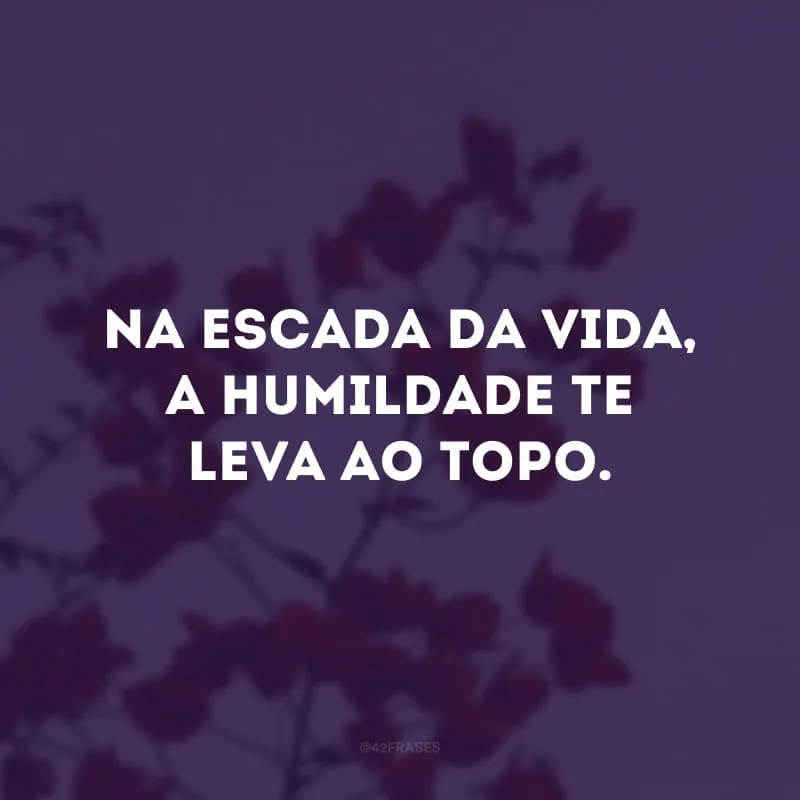 Na escada da vida, a humildade te leva ao topo.