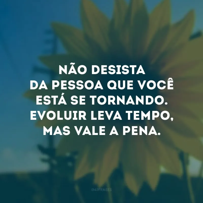 Não desista da pessoa que você está se tornando. Evoluir leva tempo, mas vale a pena. 