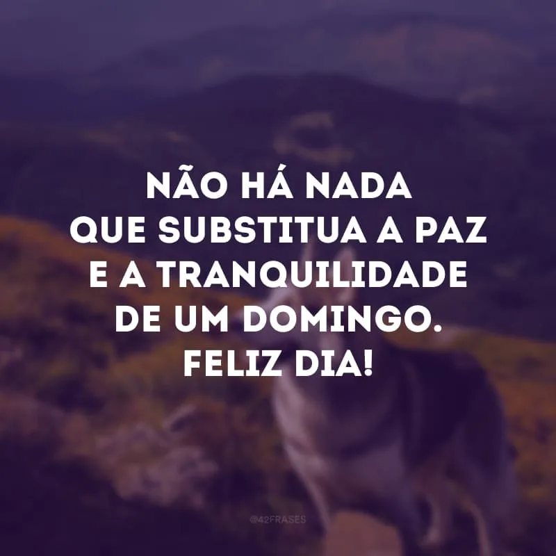 Não há nada que substitua a paz e tranquilidade de um domingo. Feliz dia! 
