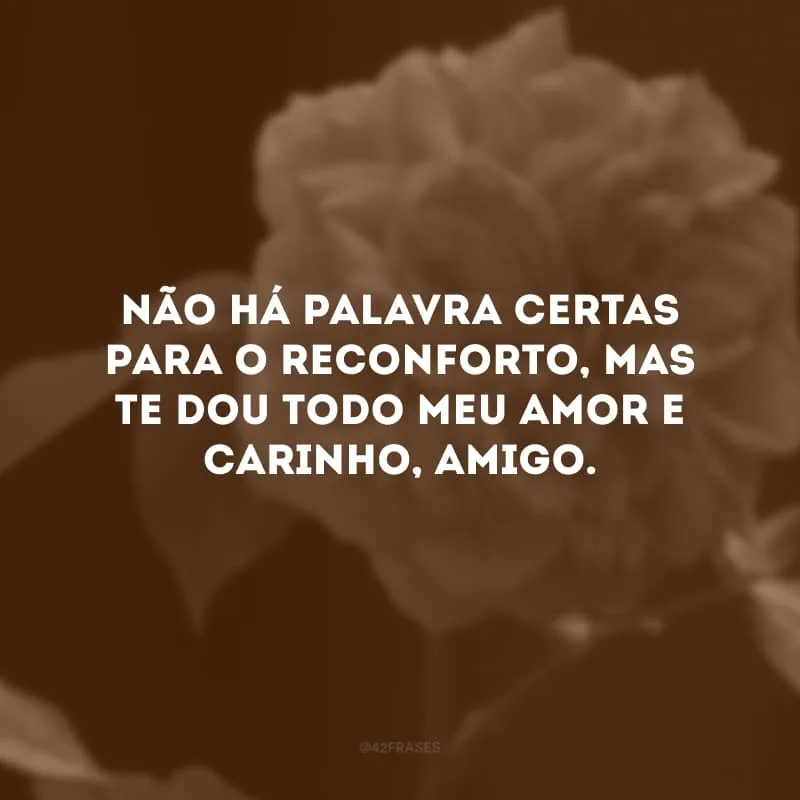 Não há palavra certas para o reconforto, mas te dou todo meu amor e carinho, amigo. 