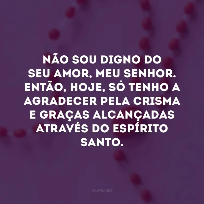 Não sou digno do seu amor, meu Senhor. Então, hoje, só tenho a agradecer pela crisma e graças alcançadas através do Espírito Santo. 