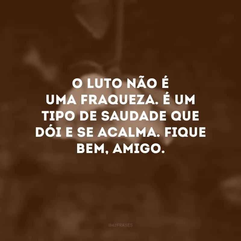 O luto não é uma fraqueza. É um tipo de saudade que dói e se acalma. Fique bem, amigo.