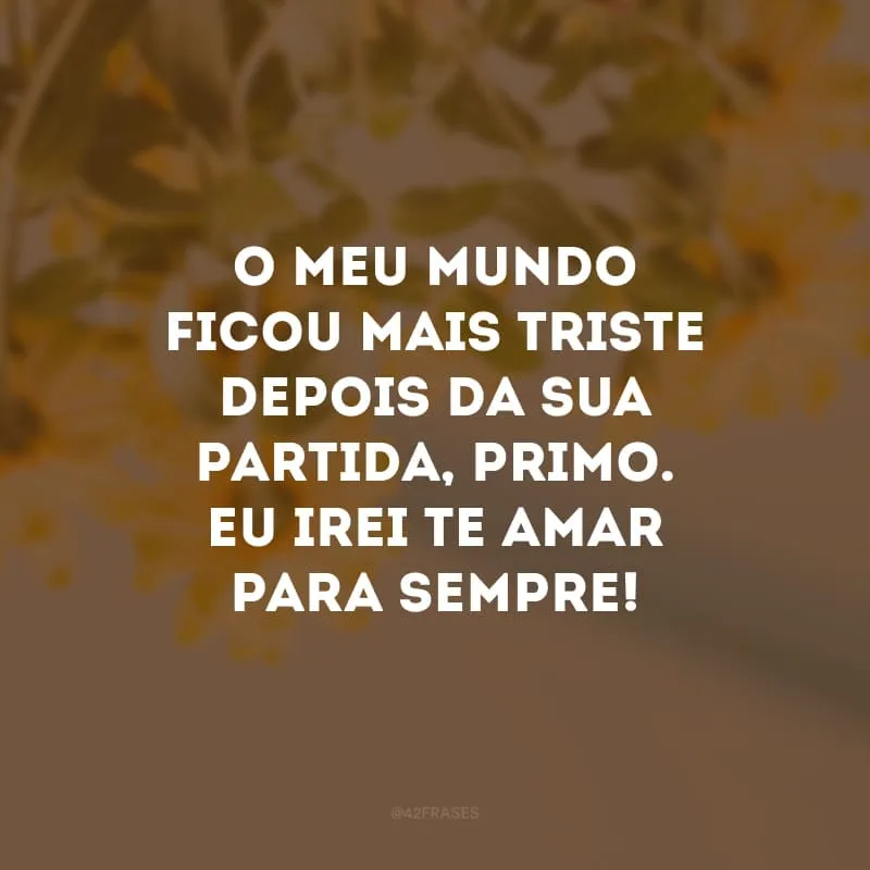 O meu mundo ficou mais triste depois da sua partida primo. Eu irei te amar para sempre! 