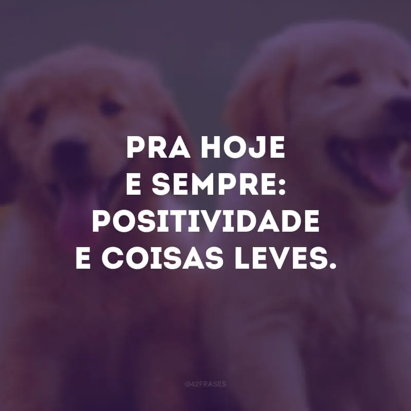 Pra hoje e sempre: positividade e coisas leves. 