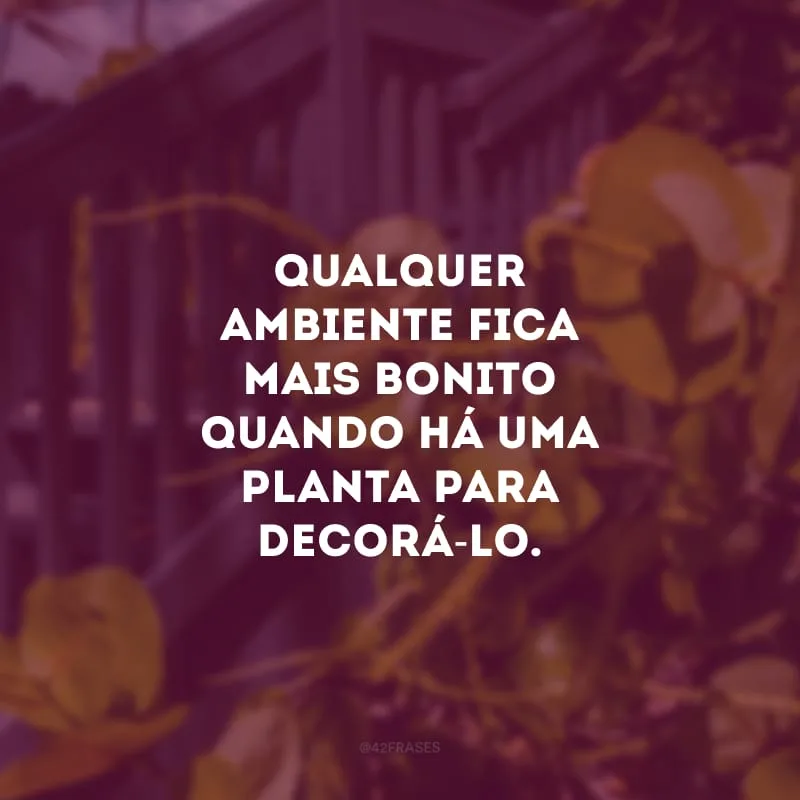 Qualquer ambiente fica mais bonito quando há uma planta para decorá-lo.
