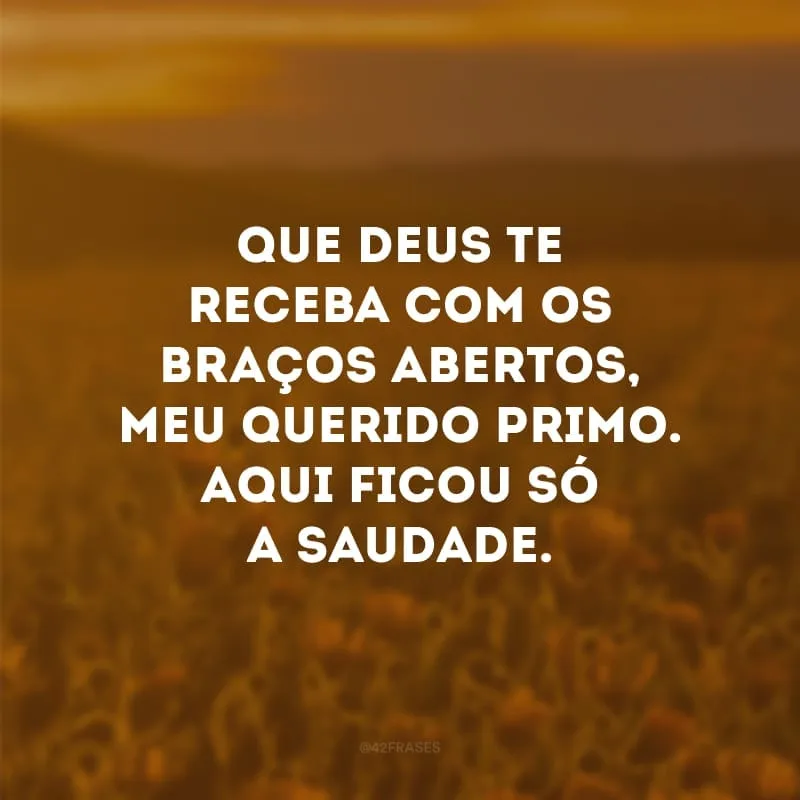 Que Deus te receba com os braços abertos, meu querido primo. Aqui ficou só a saudade. 