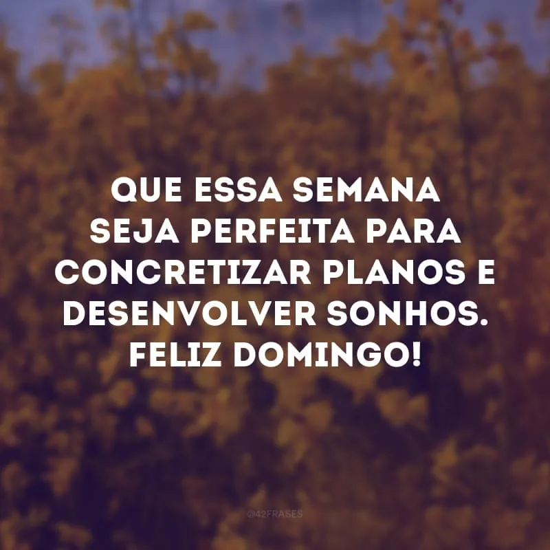 Que essa semana seja perfeita para concretizar planos e desenvolver sonhos. Feliz domingo!