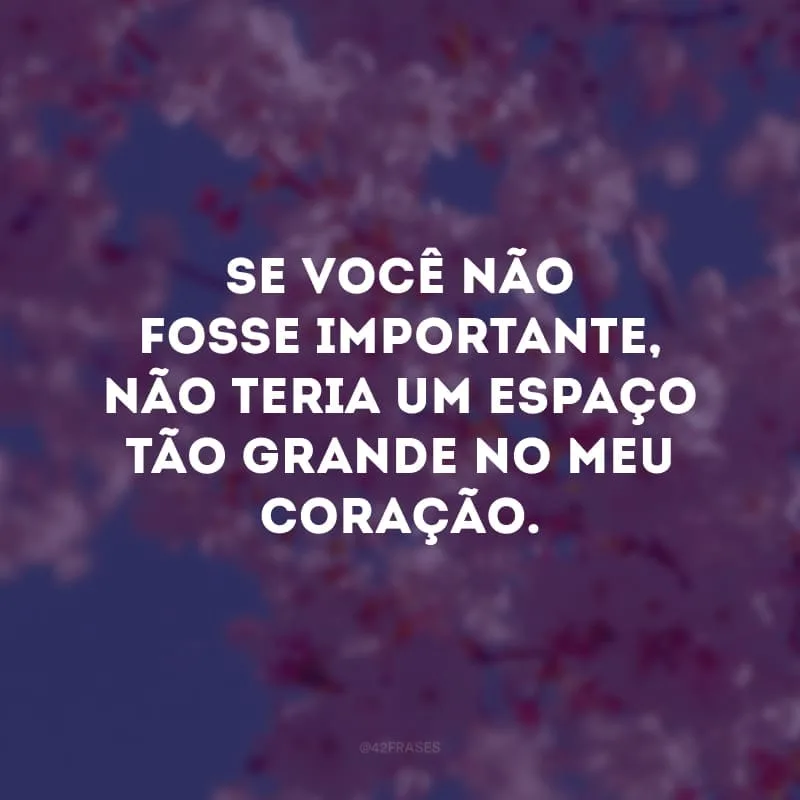 Se você não fosse importante, não teria um espaço tão grande no meu coração.
