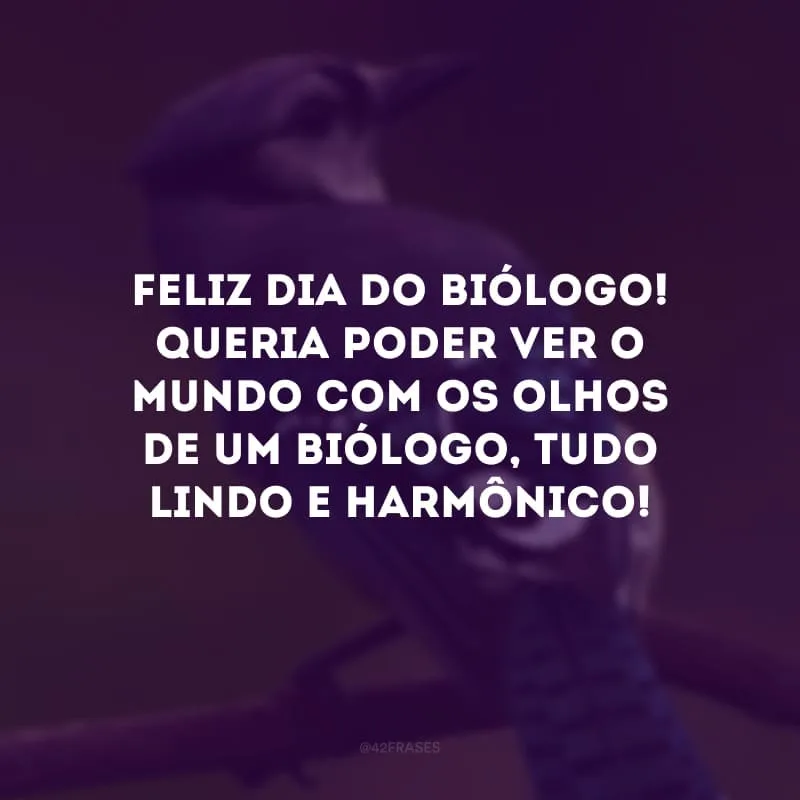 Feliz Dia do Biólogo! Queria poder ver o mundo com os olhos de um biólogo, tudo lindo e harmônico!