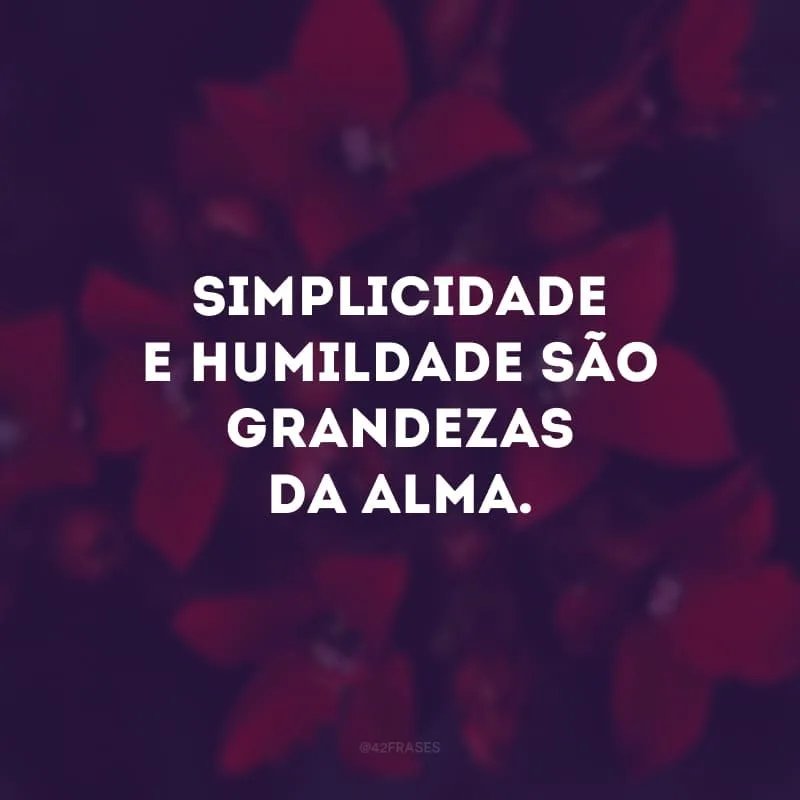 Simplicidade e humildade são grandezas da alma.