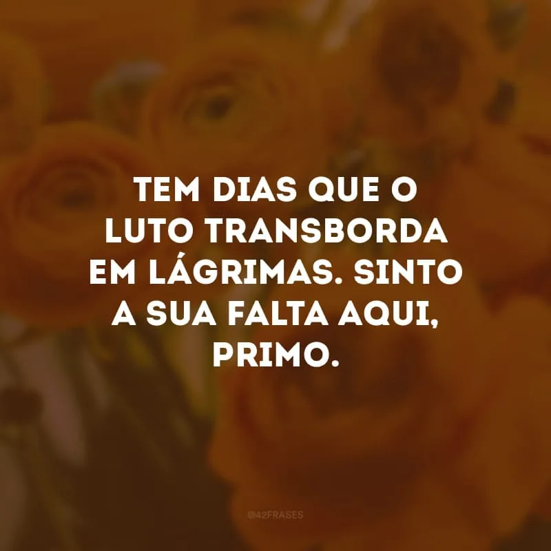 Tem dias que o luto transborda em lágrimas. Sinto a sua falta aqui, primo.