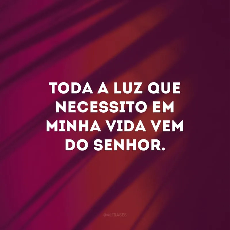 Toda a luz que necessito em minha vida vem do Senhor. 