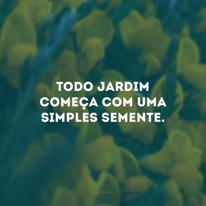 Todo jardim começa com uma simples semente.
