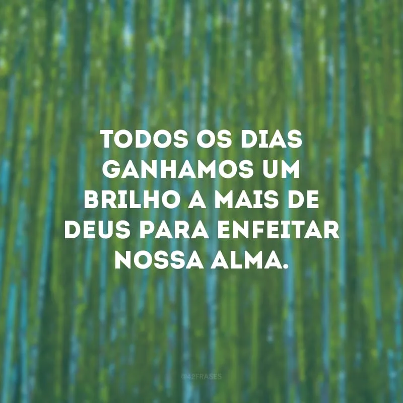 Todos os dias ganhamos um brilho a mais de Deus para enfeitar nossa alma.