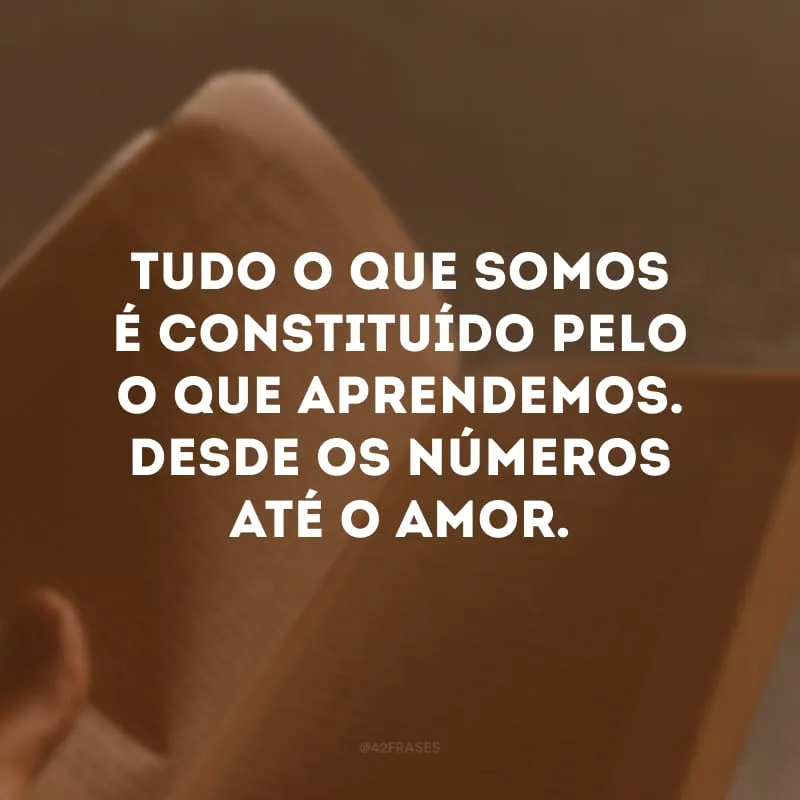 Tudo o que somos é constituído pelo o que aprendemos. Desde os números até o amor.
