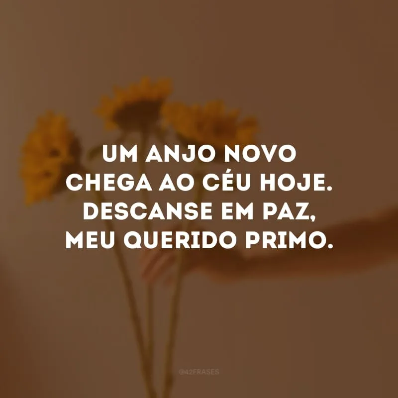 Um anjo novo chega ao céu hoje. Descanse em paz, meu querido primo. 