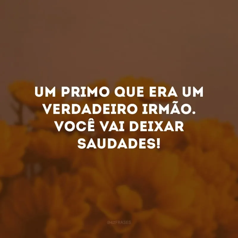 Um primo que era um verdadeiro irmão. Você vai deixar saudades!
