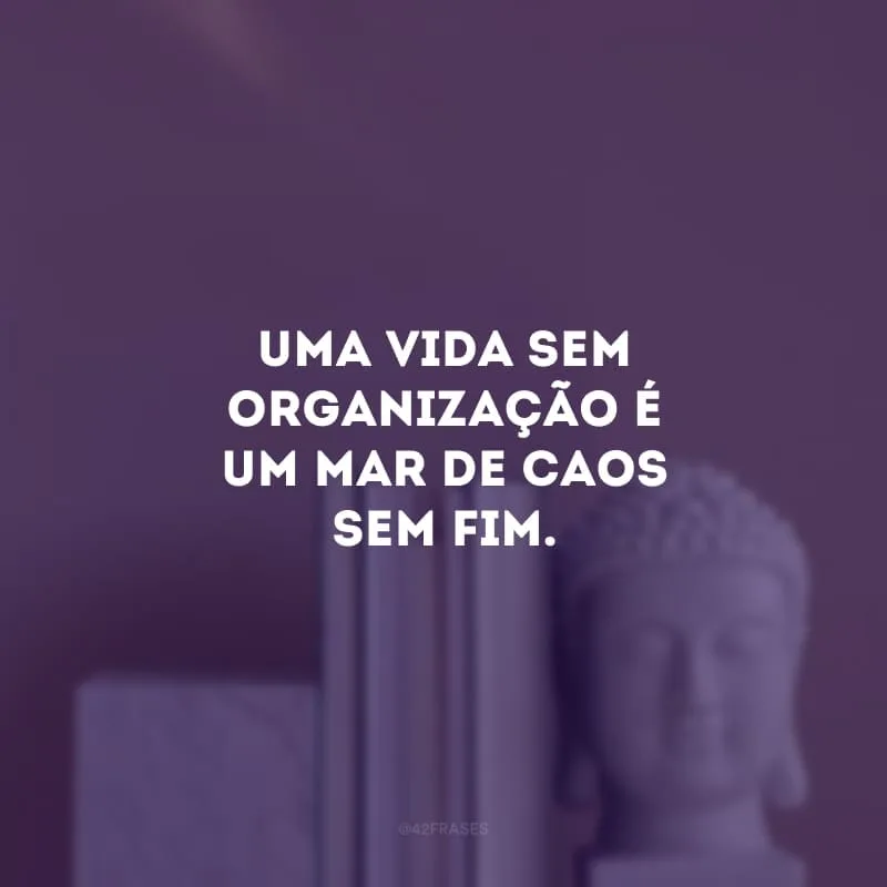 Uma vida sem organização é um mar de caos sem fim.