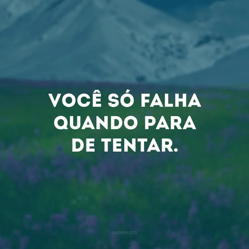 Você só falha quando para de tentar.
