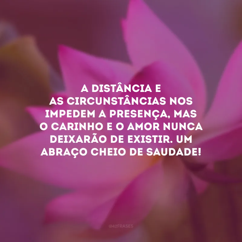 A distância e as circunstâncias nos impedem a presença, mas o carinho e o amor nunca deixarão de existir. Um abraço cheio de saudade!