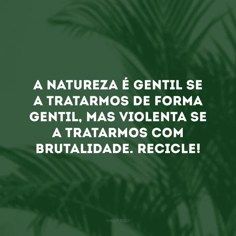 A natureza é gentil se a tratarmos de forma gentil, mas violenta se a tratarmos com brutalidade. Recicle!