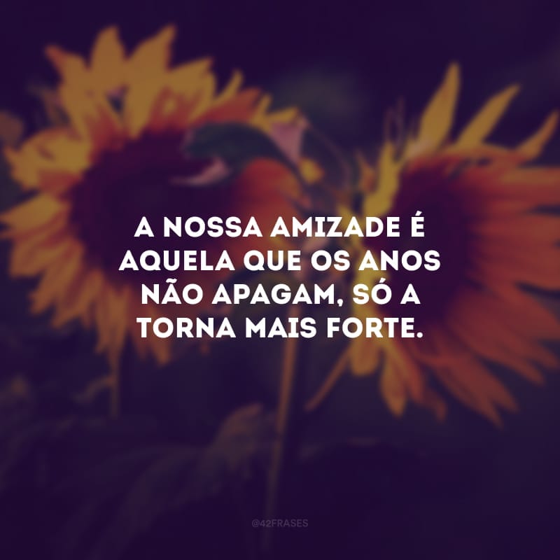 40 Frases De Amizade Antiga Para Celebrar Anos De Companheirismo
