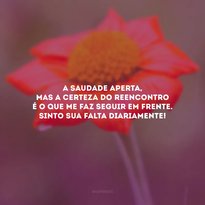 A saudade aperta, mas a certeza do reencontro é o que me faz seguir em frente. Sinto sua falta diariamente!
