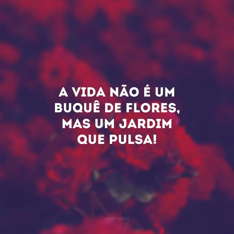 A vida não é um buquê de flores, mas um jardim que pulsa!