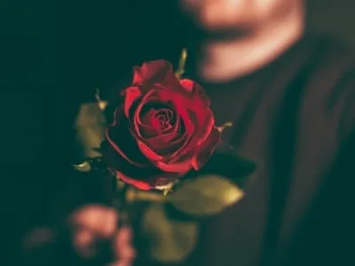40 frases de amor para WhatsApp que vão deixar você apaixonado