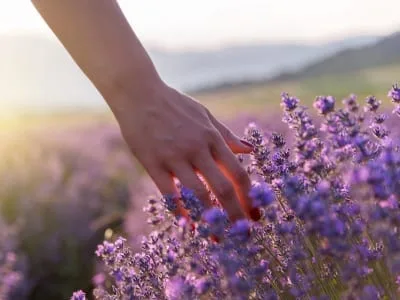 40 frases de boa tarde especial para iluminar o dia de alguém incrível