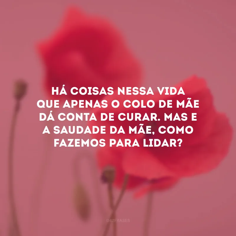 Há coisas nessa vida que apenas o colo de mãe dá conta de curar. Mas e a saudade da mãe, como fazemos para lidar?