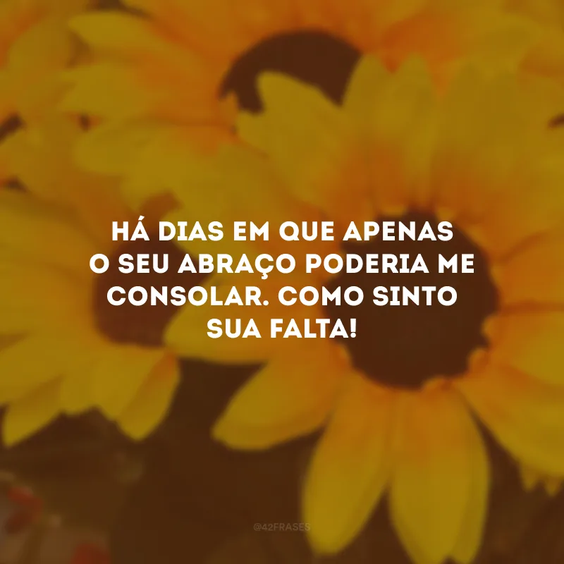 Há dias em que apenas o seu abraço poderia me consolar. Como sinto sua falta!