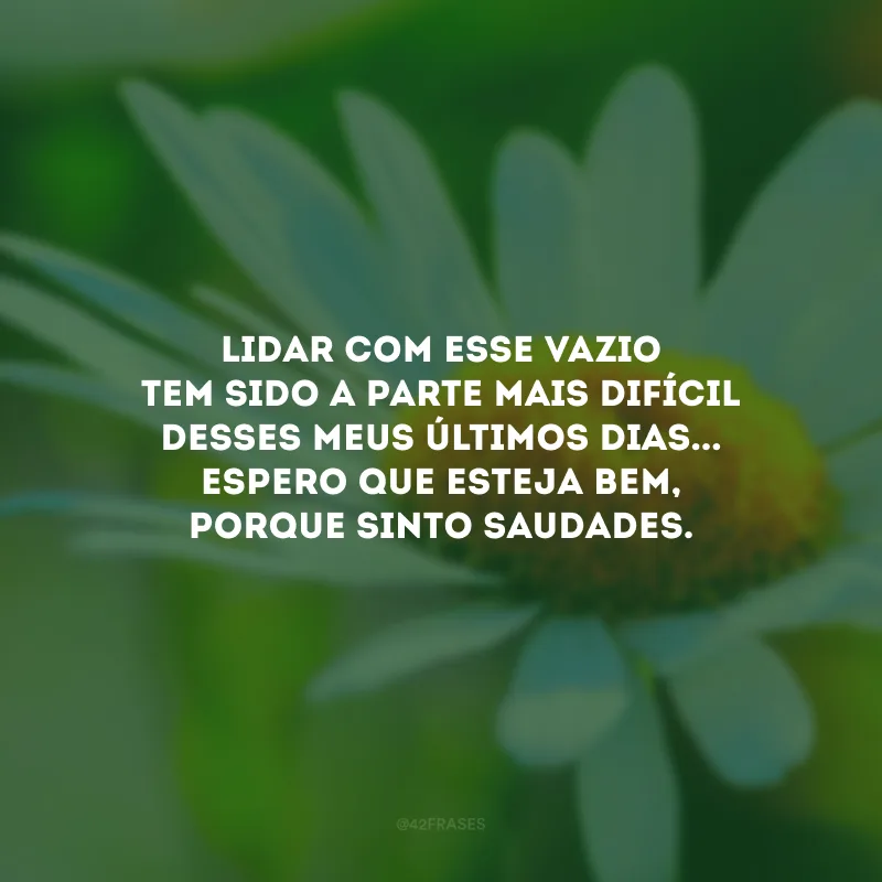Lidar com esse vazio tem sido a parte mais difícil desses meus últimos dias... Espero que esteja bem, porque sinto saudades.