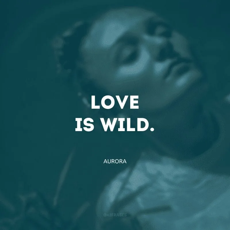 Love is wild. (O amor é selvagem)
