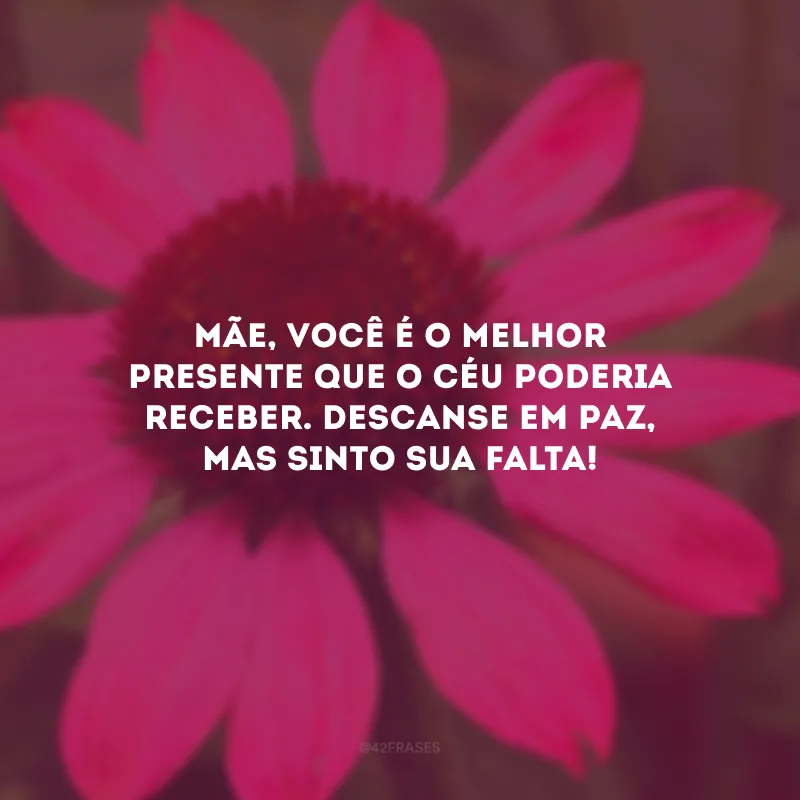 Mãe, você é o melhor presente que o céu poderia receber. Descanse em paz, mas sinto sua falta!