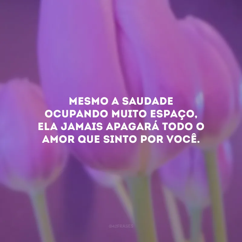 Mesmo a saudade ocupando muito espaço, ela jamais apagará todo o amor que sinto por você.