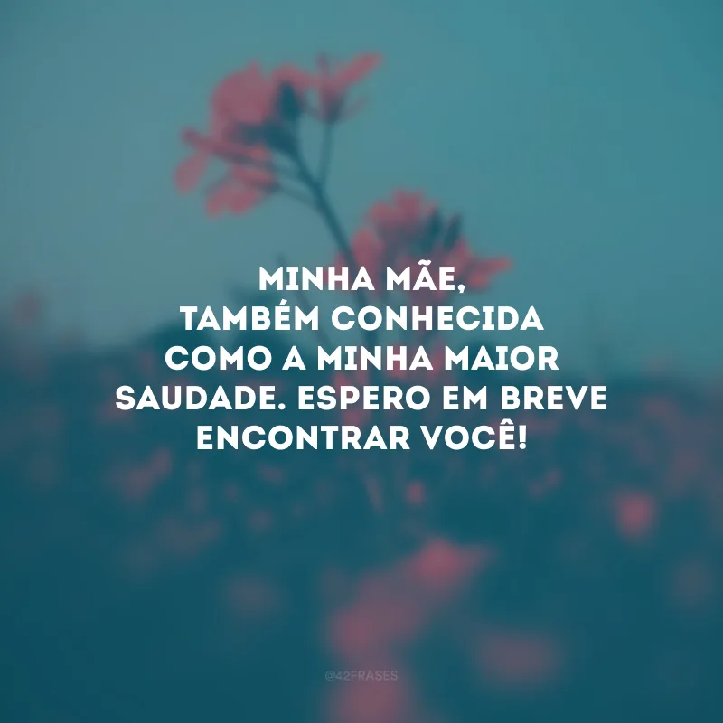 Minha mãe, também conhecida como a minha maior saudade. Espero em breve encontrar você!