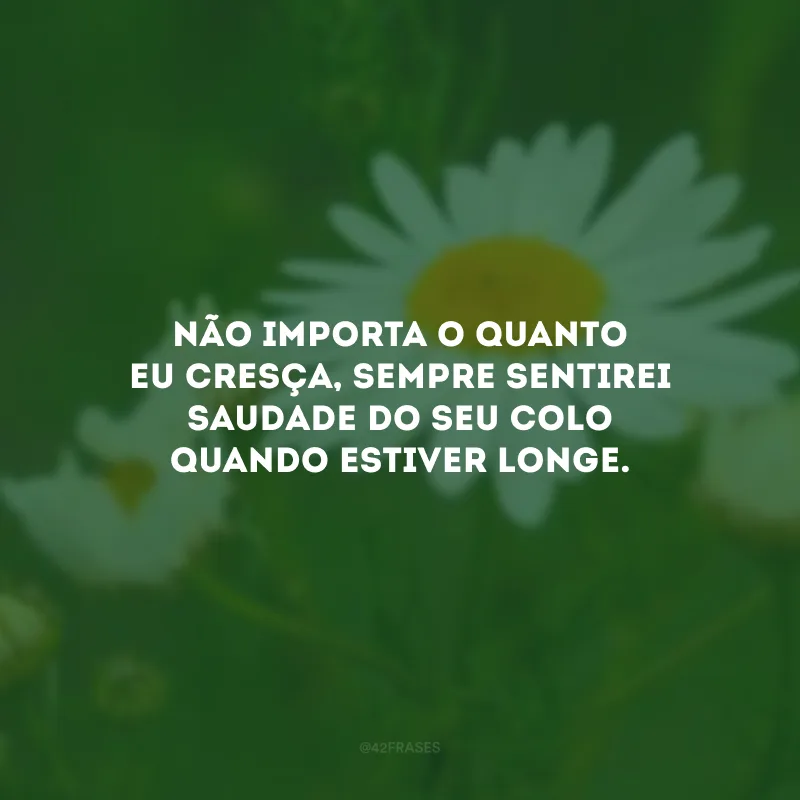 Não importa o quanto eu cresça, sempre sentirei saudade do seu colo quando estiver longe.