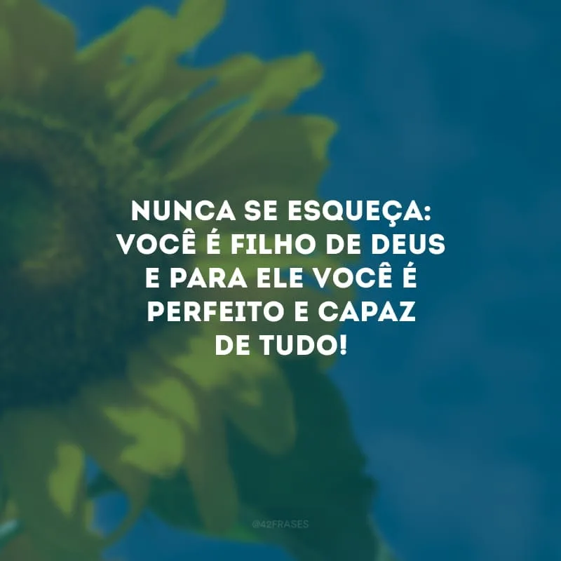 Nunca se esqueça: você é filho de Deus e para Ele você é perfeito e capaz de tudo! 