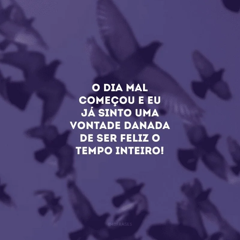 O dia mal começou e eu já sinto uma vontade danada de ser feliz o tempo inteiro!