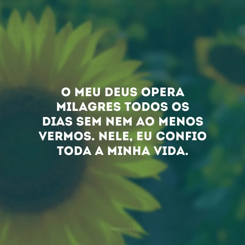 O meu Deus opera milagres todos os dias sem nem ao menos vermos. Nele, eu confio toda a minha vida. 