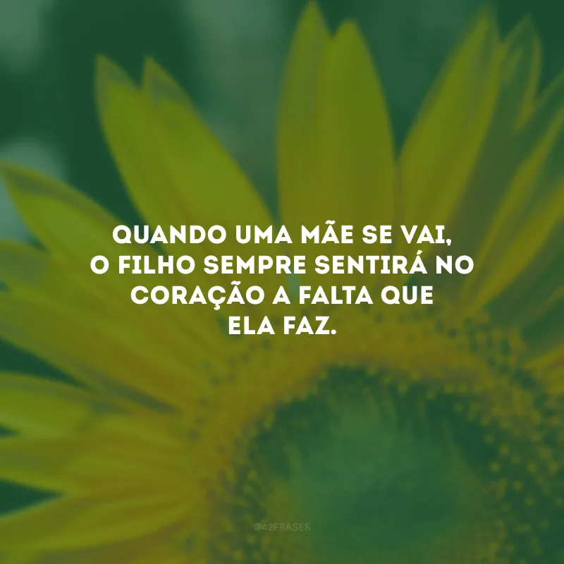 Quando uma mãe se vai, o filho sempre sentirá no coração a falta que ela faz.