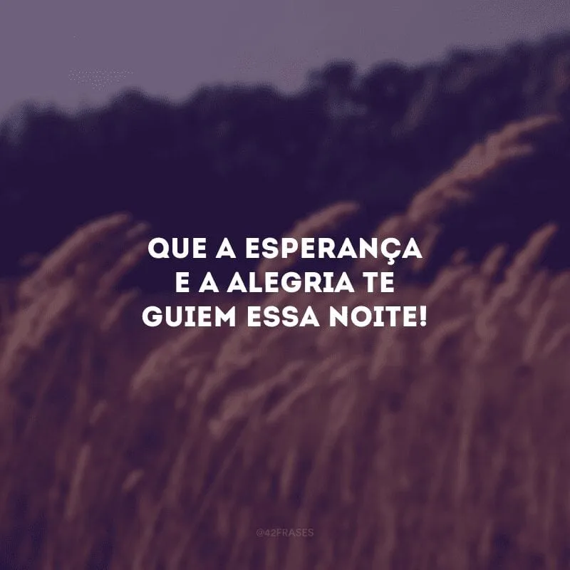 Que a esperança e a alegria te guiem essa noite!